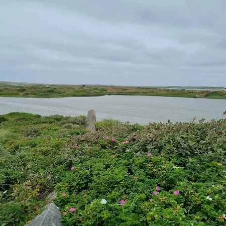 10 Person In * Nørre Nebel