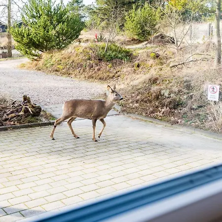 10 Person In Nørre Nebel