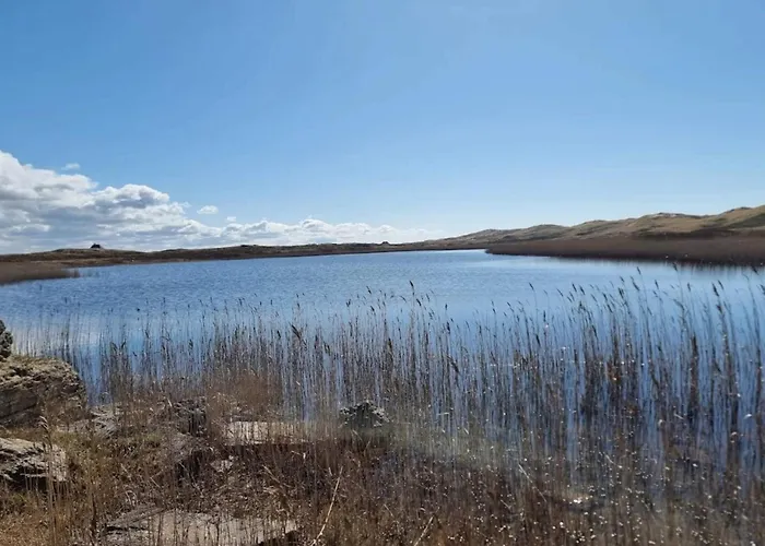 10 Person In Nørre Nebel