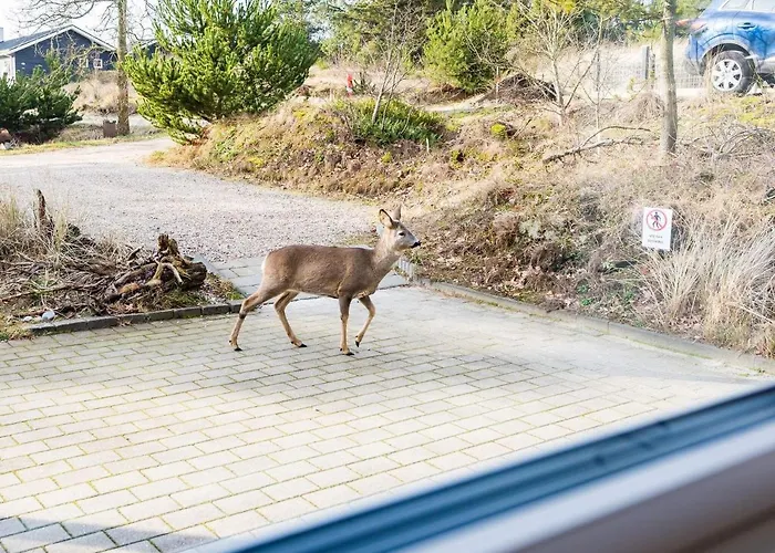 10 Person In Nørre Nebel